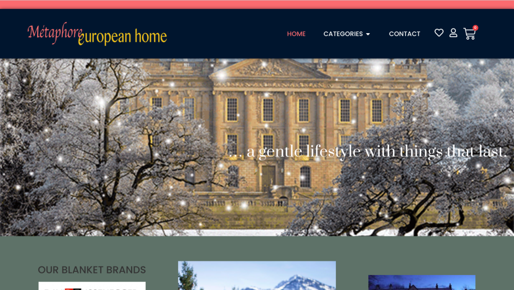 Metaphor Euro Home website
